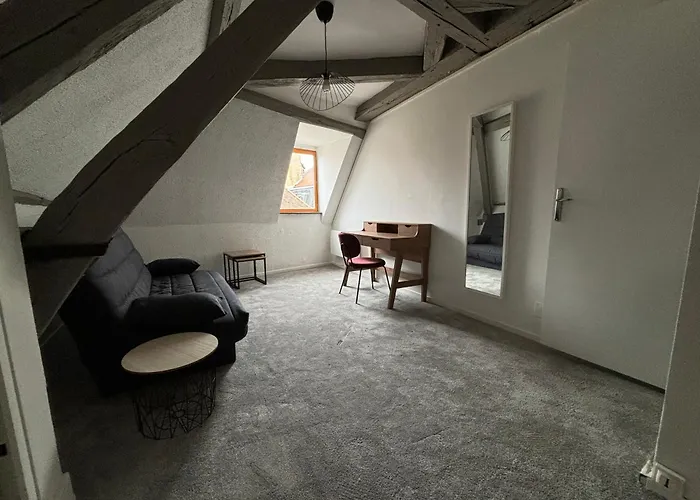 Apartment Lumineux Centre Historique Troyes- 2 A 6 Personnes